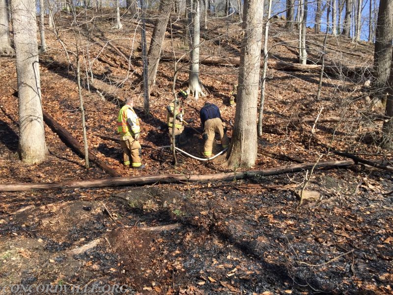 Brush/Woods Fire - Chadds Ford Township = April 2016