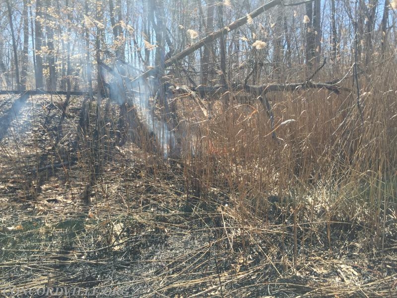 Large Brush Fire Concord Township - April 2015