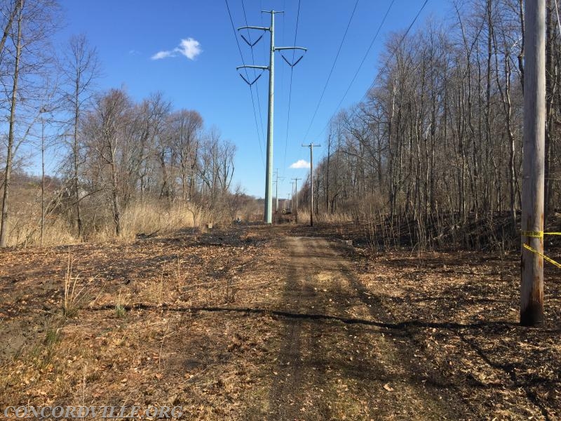 Large Brush Fire Concord Township - April 2015